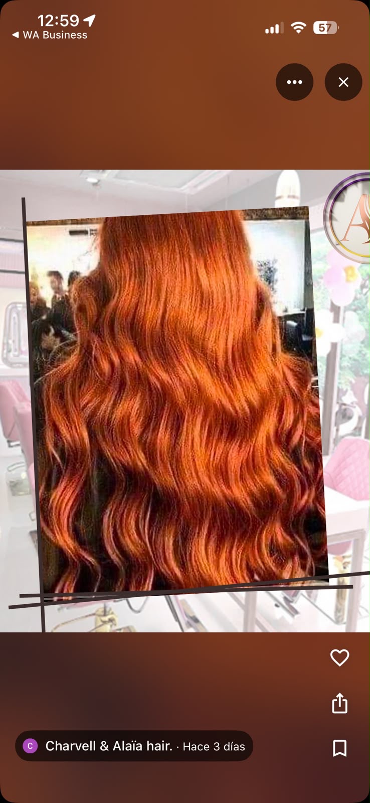 Cabello de dama con color